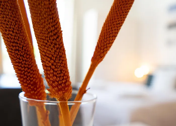 Strandpause Appartement *